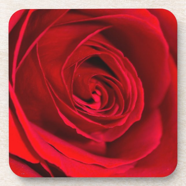 Dessous-de-verre Rose rouge romantique en pleine floraison (Devant)