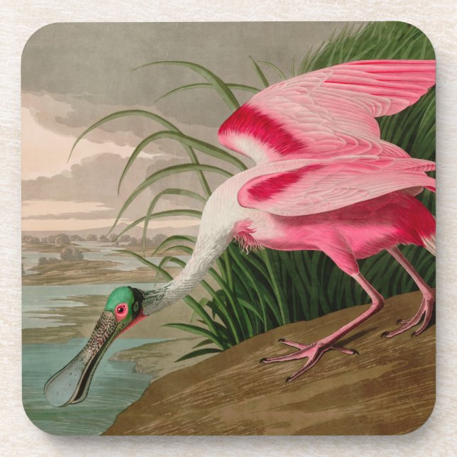 Dessous-de-verre Rose Spoonbill Birds of America Audubon Print (Devant)
