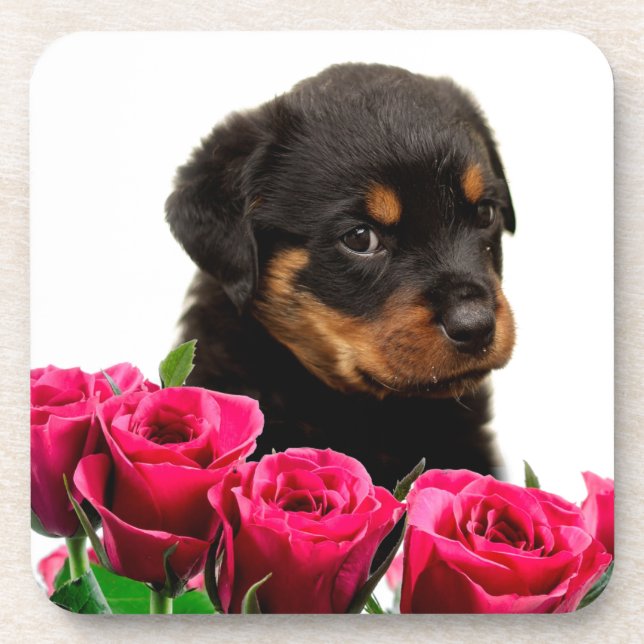 Dessous-de-verre Rose Valentin Rottweiler Puppy (Devant)