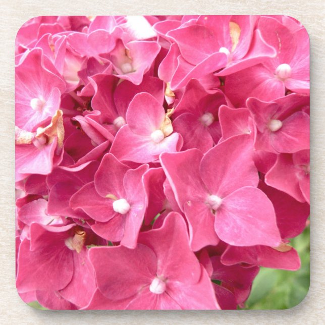 Dessous de verre roses d'hortensia (Devant)