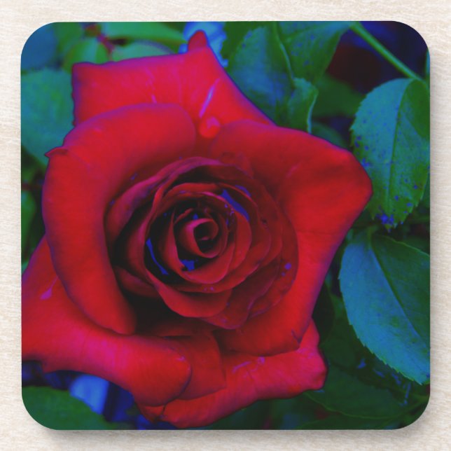 Dessous-de-verre Roses rouges aux tons bleus (Devant)
