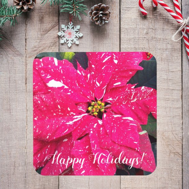 Dessous-de-verre Rouge Varié Poinsettia Floral Holiday (In Situ Holiday)