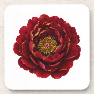 Dessous-de-verre Royal Persian Gold Filigree Botanique Luxe