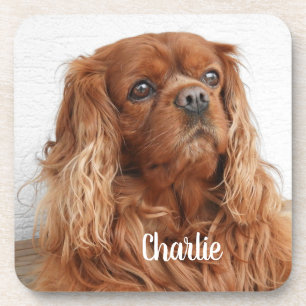 Dessous-de-verre Ruby Cavalier King Charles Spaniel