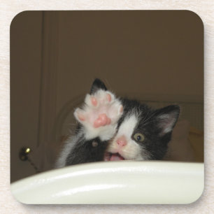 dessous de verre "Salut Kitten !"