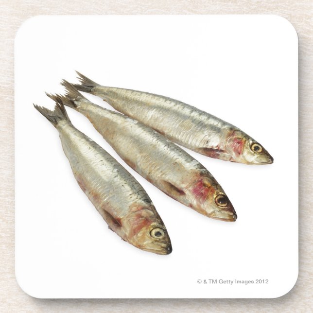 Dessous-de-verre Sardines (pilchards) (Devant)