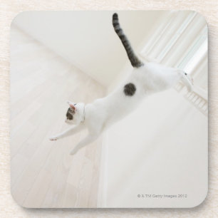 Dessous-de-verre Sauter de chat