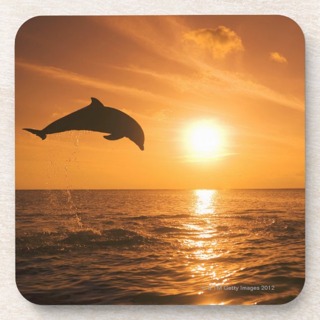 Dessous-de-verre Sauter de dauphin de Bottlenose (Devant)