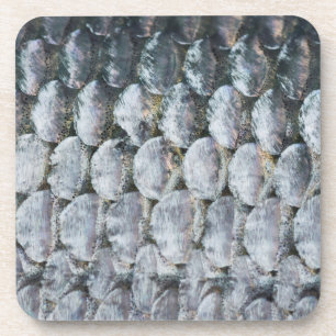 Dessous-de-verre Scales Saumons brillantes