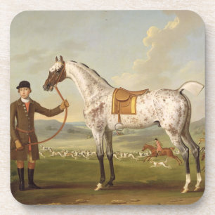 Dessous-de-verre Scipio, Hunter de Spotted, c.1750 (oi de colonel