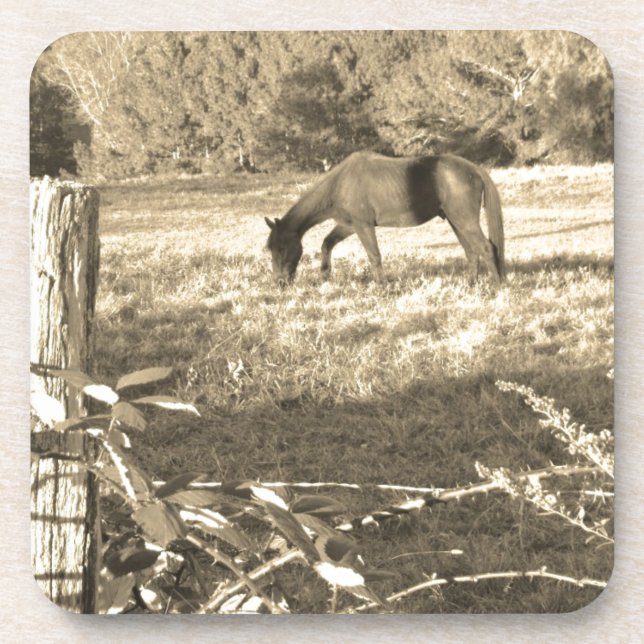 Dessous-de-verre Sepia ton cheval Brown et clôture (Devant)