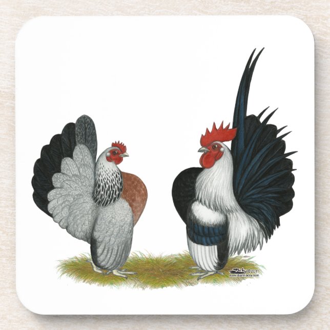 Dessous-de-verre Serama Bantams (Devant)