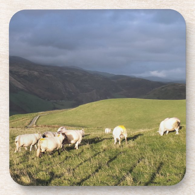 DESSOUS-DE-VERRE SHEEP (Devant)