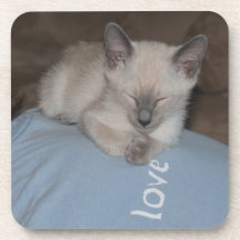 Dessous de verre siamois de chaton