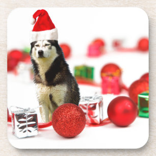 Dessous-de-verre Sibérie Husky Noël avec boîte cadeau ornement