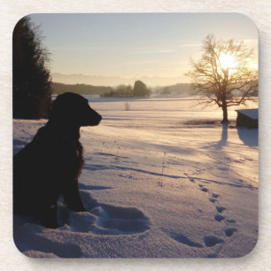 Dessous-de-verre Silhouette de chien dans le paysage neigeux
