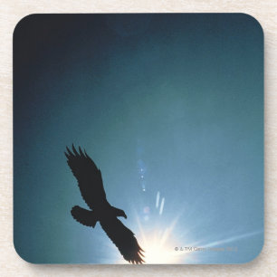 Dessous-de-verre Silhouette du vol d'aigle chauve en ciel