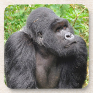 Dessous-de-verre Singe heureux