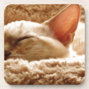 Dessous-de-verre Sleepy Cat