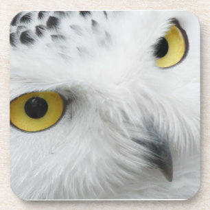 Dessous-de-verre Snowy Owl Eyes