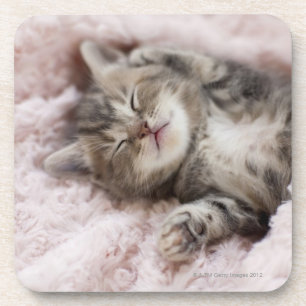 Dessous-de-verre Sommeil de chaton