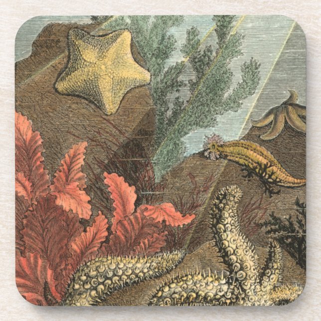 Dessous-de-verre Sous la mer (Devant)