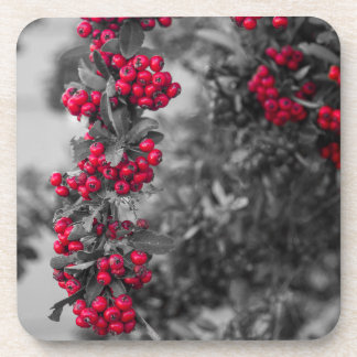 Dessous-de-verre Sous-verre botanique Pyracantha baie rouge et gris