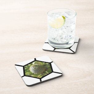 Dessous-de-verre Souvenir néo-zélandais Kauri Cone