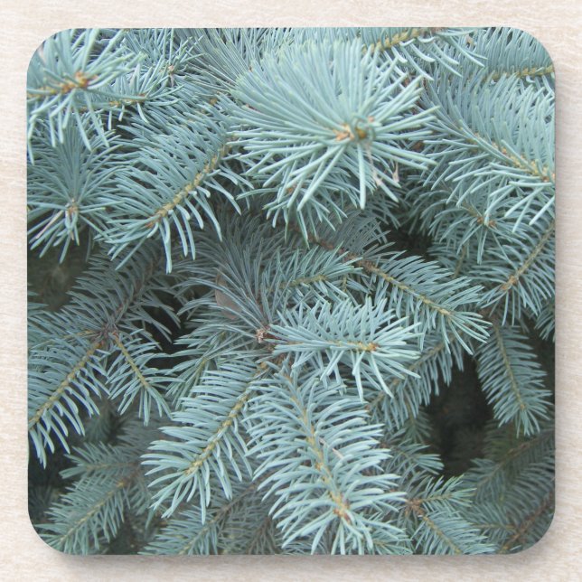 Dessous-de-verre Spruce bleue gris bleu bleu nature rustique (Devant)