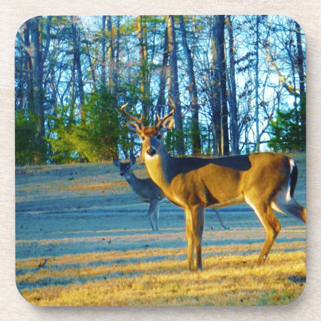 Dessous-de-verre Stade / Buck Deer, Ciel bleu clair (Devant)