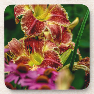 Dessous-de-verre "Startle" Daylily