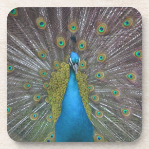 Dessous-de-verre Stunning