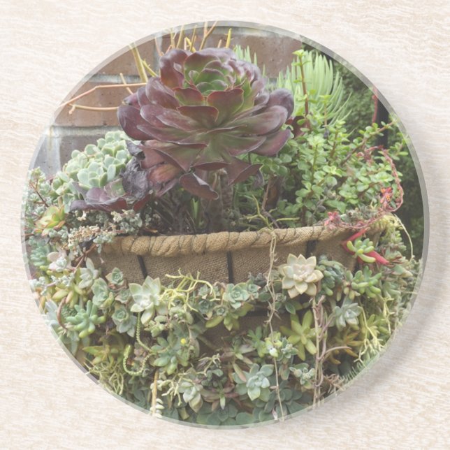 Dessous de verre succulents (Devant)