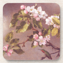 Succursale en fleurs de cerisier