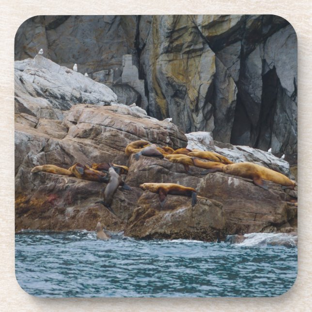 Dessous-de-verre Suivant En Ligne (Devant)