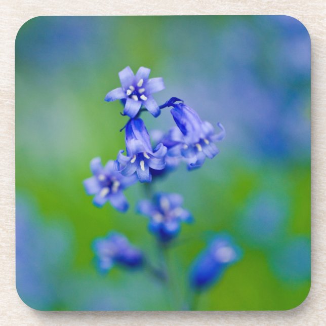 Dessous-de-verre Tasse fleur de Jacinthe des bois (Devant)