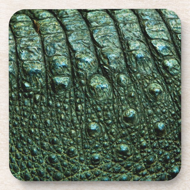 Dessous-de-verre Texture de la peau de l'alligator vert (Devant)