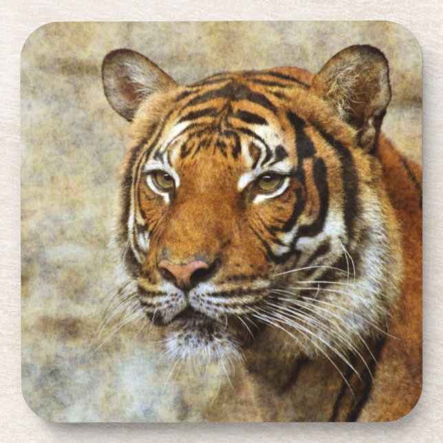 Dessous-de-verre Tiger20151202 (Devant)