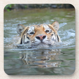 Dessous-de-verre Tiger 028