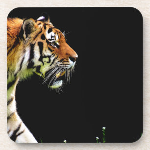 Dessous-de-verre Tigre approchant - Oeuvres d'art d'animaux sauvage