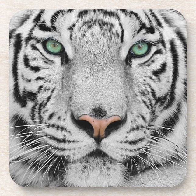 Dessous-de-verre Tigre blanc (Devant)