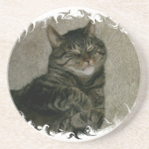 Dessous de verre tigrés de sommeil de chat de