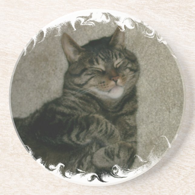 Dessous de verre tigrés de sommeil de chat de (Devant)