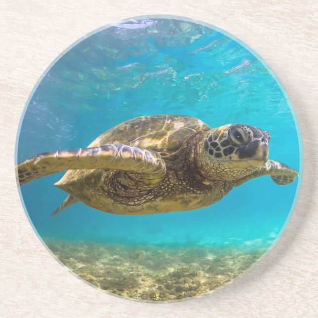 Dessous de verre tortue (Devant)
