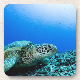Dessous-de-verre Tortue de mer se reposant sous l'eau