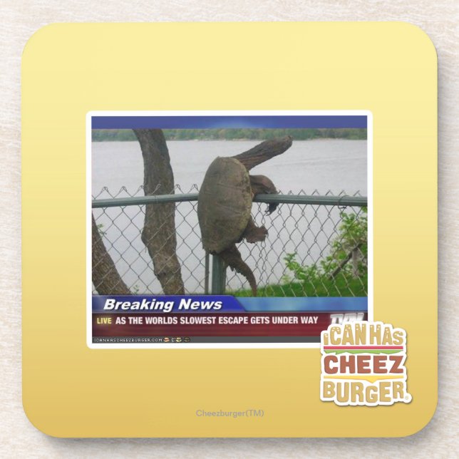 Dessous-de-verre Tortue d'Excaping (Devant)