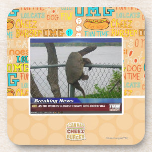 Dessous-de-verre Tortue d'Excaping