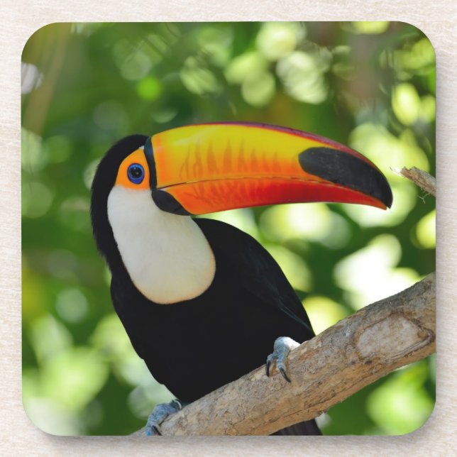 Dessous-de-verre Toucan (Devant)