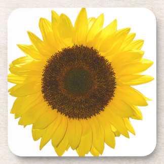 Dessous-de-verre Tournesol