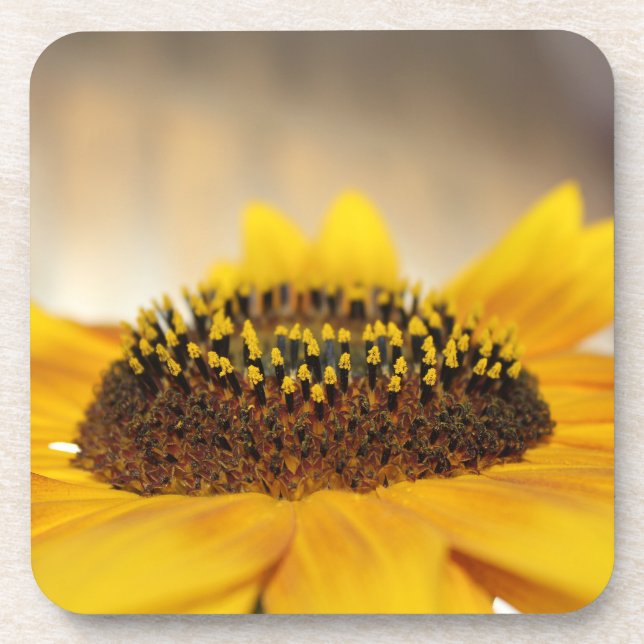 Dessous-de-verre Tournesol (Devant)